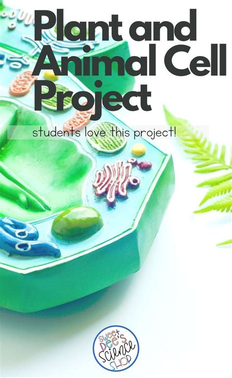 Image result for Cell Project Examples