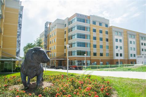 University of South Florida: Admissions, Ranking, Acceptance Rate ...