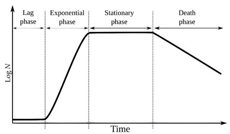 Generation Times of E. coli Prolong with Increasing Tannin Concentration while the Lag Phase ...