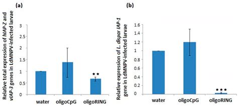 Molecular Alliance of Lymantria dispar Multiple Nucleopolyhedrovirus ...