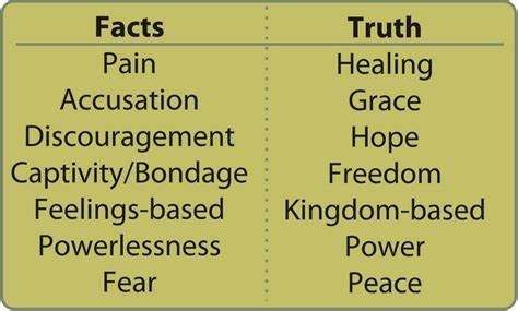 Fact 的图像结果