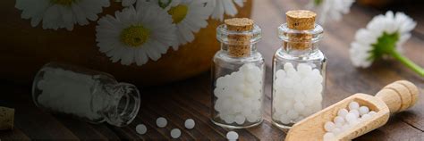 Home | Electro Homeopathic council of Delhi