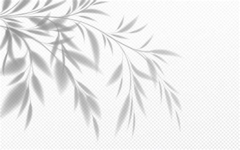Image result for Python Invoke