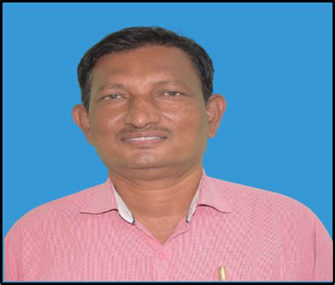 Faculty Profile, School of Physical Sciences, Punyashlok Ahilyadevi ...