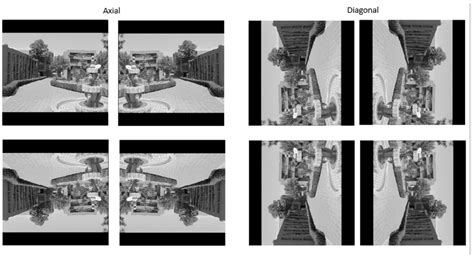 Study of Behavior of Geometric Symmetries of 3D Objects with Digital ...