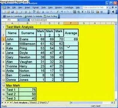 Image result for Example of Simple Excel