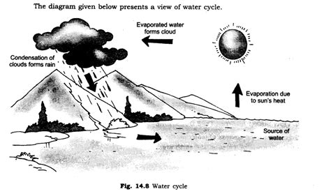 Class 6 Science Chapter Water 的图像结果
