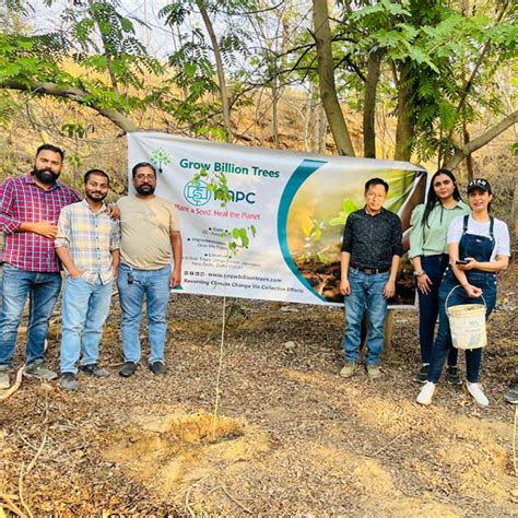 Greening the City: AAPC India Empowers Employees in Urban Forest ...