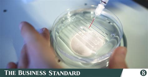 Crispr gene-editing breakthrough is a big deal. How big? | The Business ...