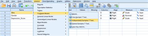 Image result for T-Test Using SPSS