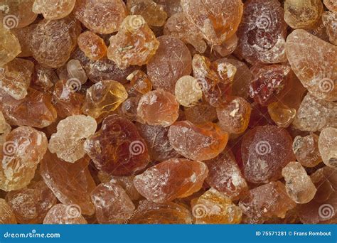 Pieces of Gum arabic stock image. Image of binder, tree - 75571281