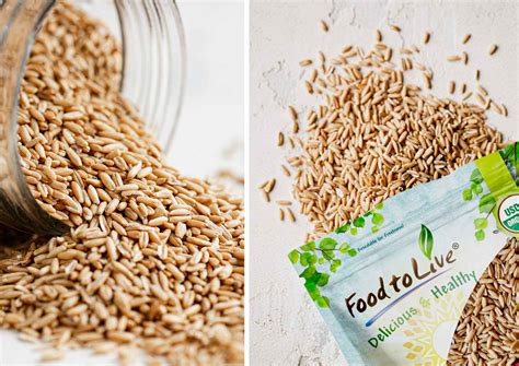 How to Cook Oat Groats: Top 3 Easy Recipes – Healthy Blog