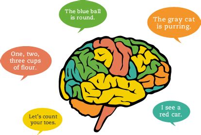 Image result for Neurological Development