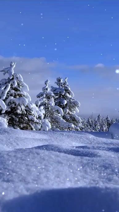 Image result for Snowfall Minecraft