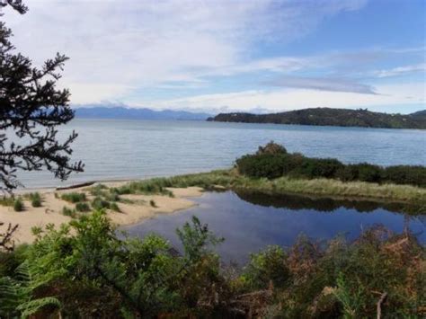 Abel Tasman National Park Tourism (2024): All You Need to Know Before ...