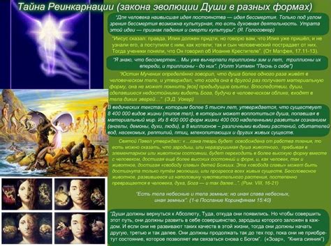Что такое реинкарнация и главные принципы переселения души