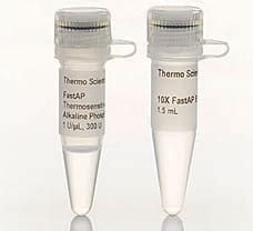 Buy FastAP Thermosensitive Alkaline Phosphatase EF0654 in India | Biomall