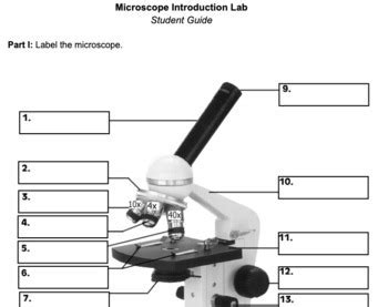 Image result for Introduction to Microscope Lab