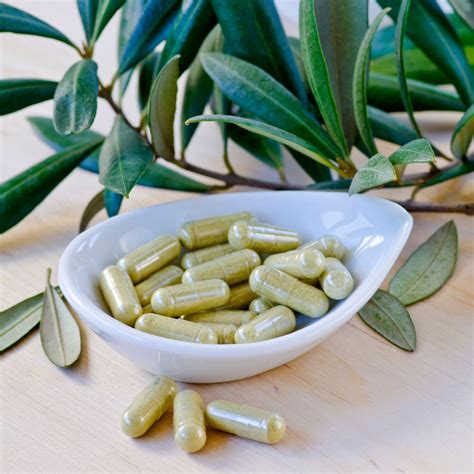 How Olive Leaf Extract Can Help Your Immune Health - Ameriden ...