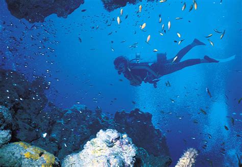 Deep Sea Diving Tutorial 的图像结果