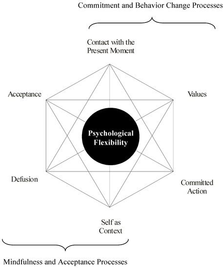 Acceptance and Commitment Therapy for Inpatients with Psychosis (the ...