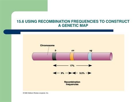 PPT - CHAPTER 15 PowerPoint Presentation, free download - ID:167792