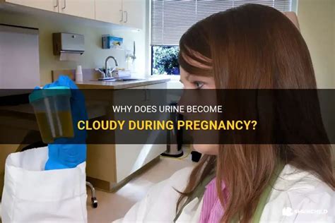 Why Does Urine Become Cloudy During Pregnancy? | ShunChild