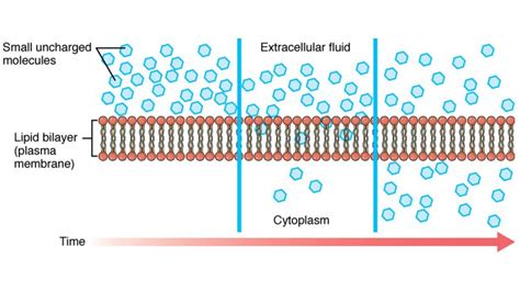 Simple Diffusion 的图像结果