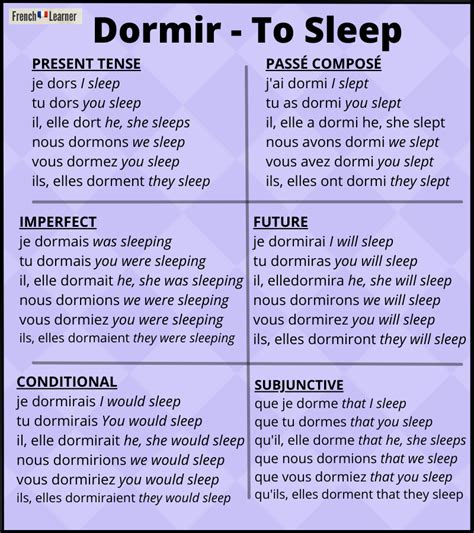 Conjugate "Dormir" in French: All Forms & Meanings Explained