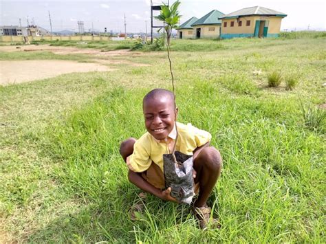 Image result for Community Tree-Planting