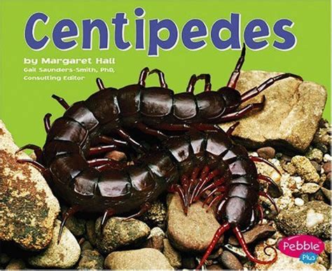 Centipedes (Bugs, Bugs, Bugs!) : Hall, Margaret: Amazon.in: Books