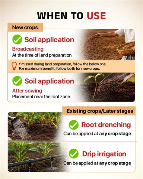 Shop Tapas VAM SP Bio-Fertilizer | VAM Mycorrhiza (IPM Suitable) | BigHaat