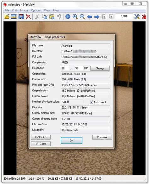 IrfanView Software 的图像结果