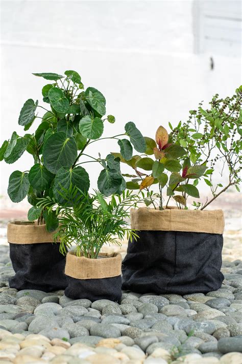 Jute Planter Bags