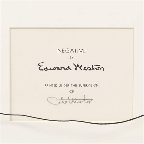 Edward Weston - Nude For Sale at 1stDibs