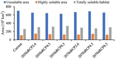 Potential Ecological Distribution of the Beetle Agrilus mali Matsumura ...