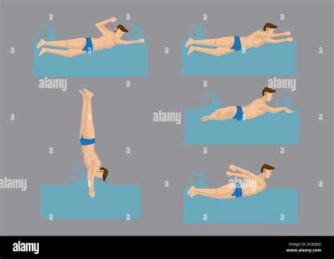 Front Crawl Swimming 的图像结果