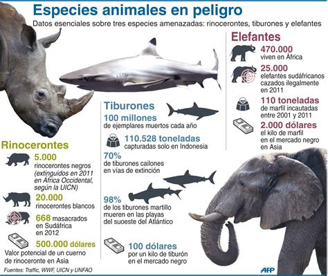 3 Especies en vía de extinción por la mano del hombre. Despertemos de ...