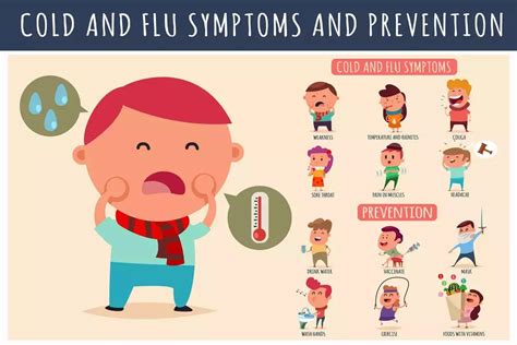 Image result for Fever Algorithm