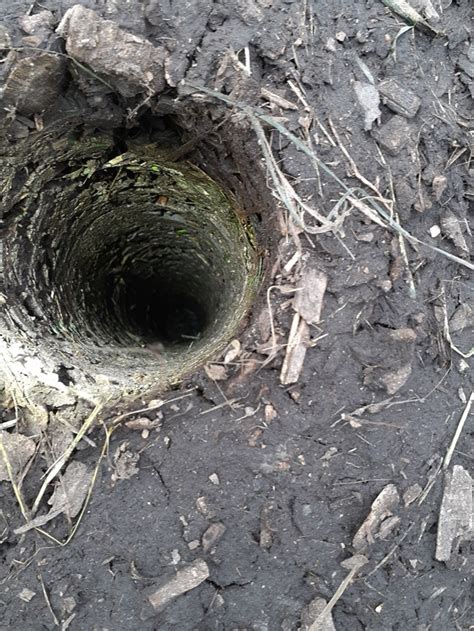 Image result for Johnson Su Composting Method