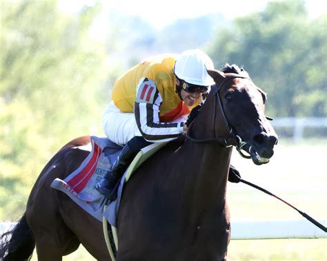 Exciting Updates: Ruidoso Downs 2025 Schedule Unveiled