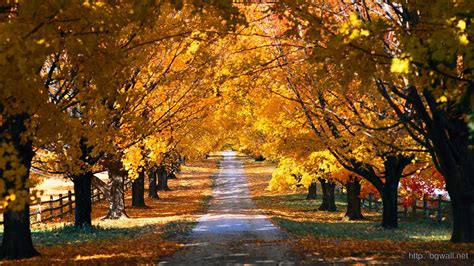 Image result for Autumn Homework EYFS