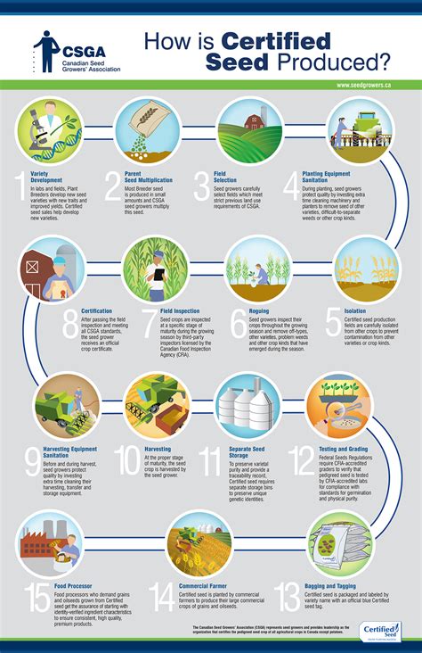 How_Is_Seed_Produced_Flowchart_EN - Canadian Seed Growers' Association