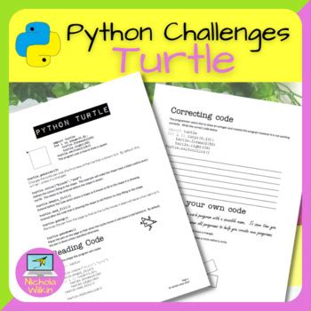 Image result for Python Turtle Programming Exercise