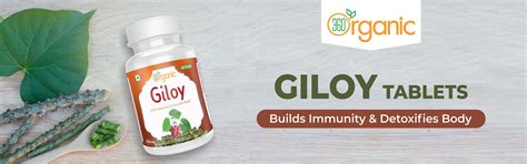 360 Degree Organic Giloy Tablets 500 mg (60 Tablets)