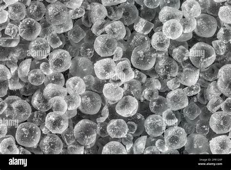 Microscopic Patterns 的图像结果