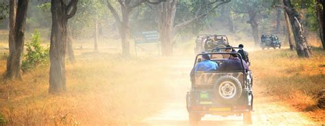 Book Holiday Tour Packages In Umaria From Bangalore