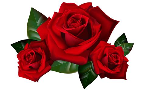 red rose clipart - Clip Art Library