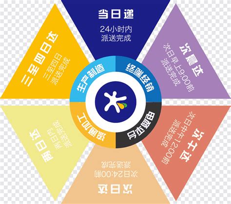 Organization Graphic PNG 的图像结果