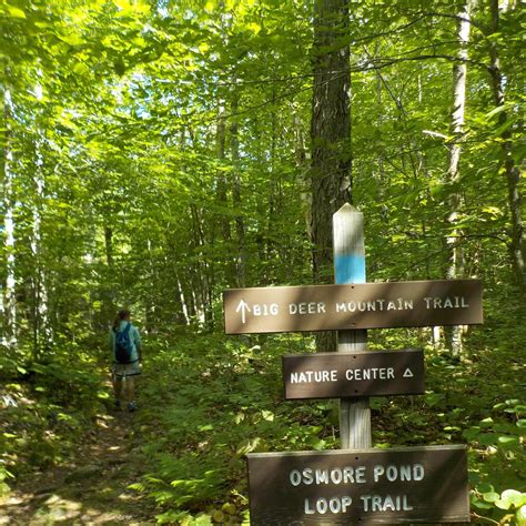 New Discovery State Park Camping | The Dyrt